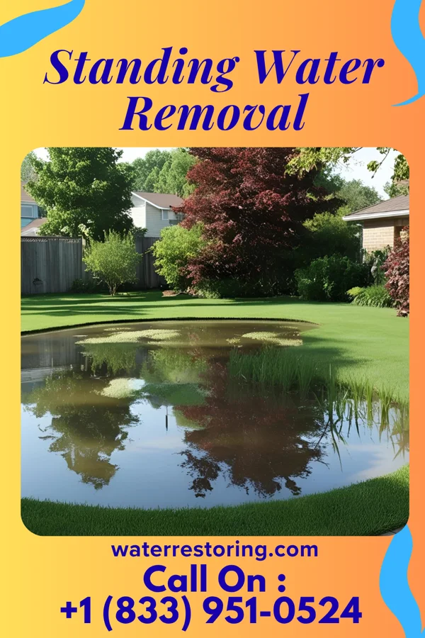 Standing Water Removal in Lake Norden, SD